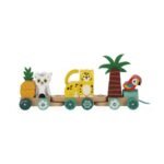 Toy Castle - Tropik Pull Along Train
